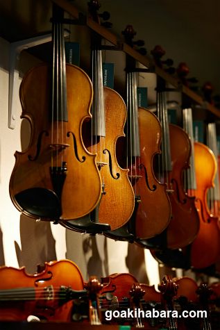 Shimamura Music Shimamura Strings Akihabara