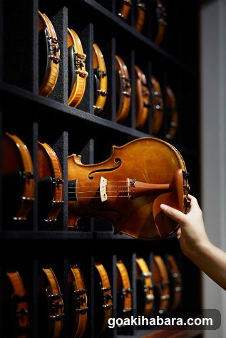 Shimamura Music Shimamura Strings Akihabara