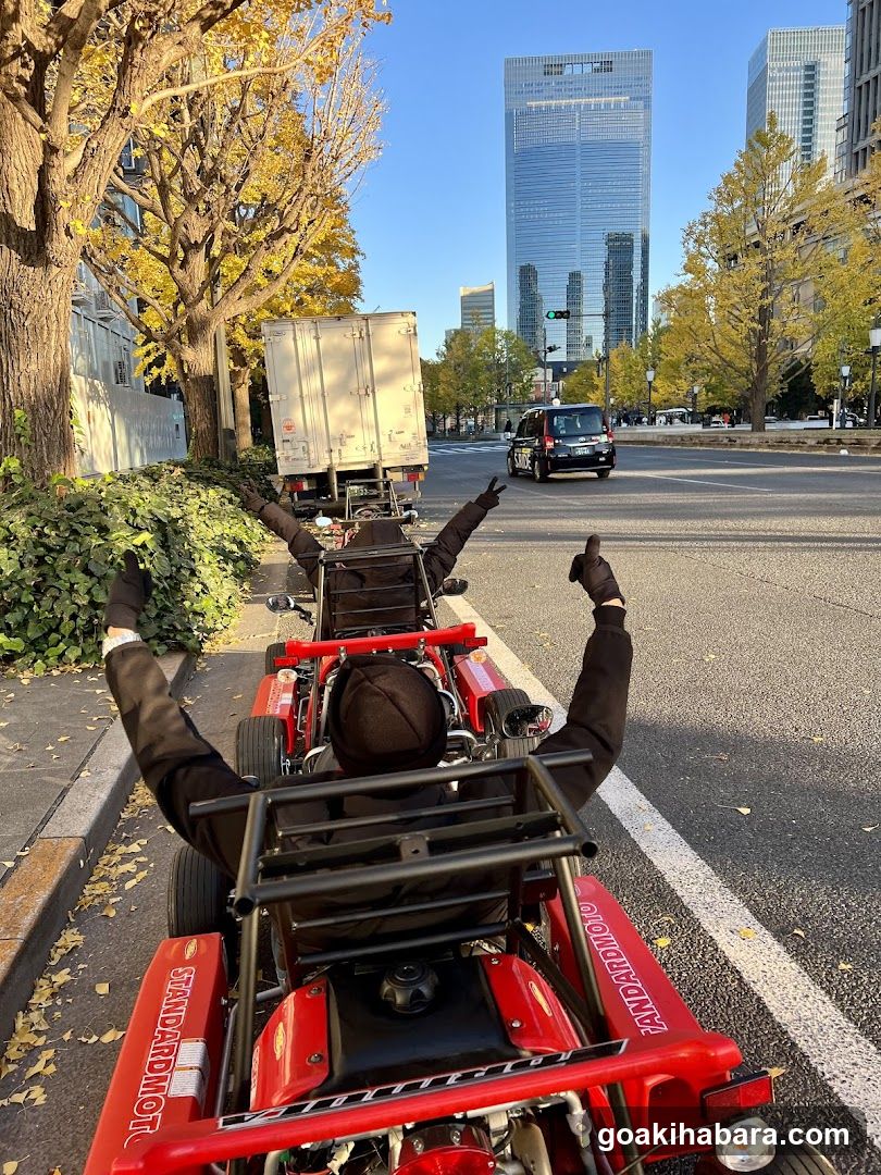 Akiba Cart