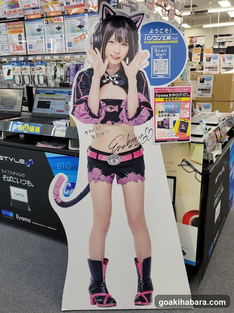 Pasokon Kōbō Akihabara Branch