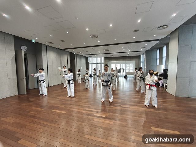 千代田テコンドークラブ