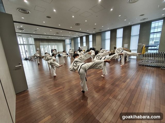 千代田テコンドークラブ