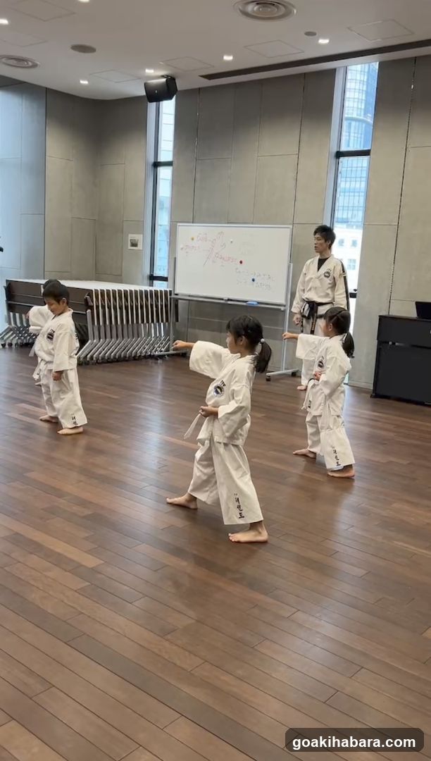 千代田テコンドークラブ