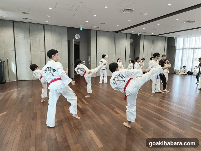 千代田テコンドークラブ