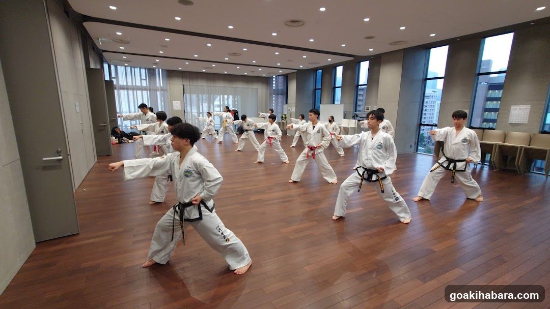 千代田テコンドークラブ