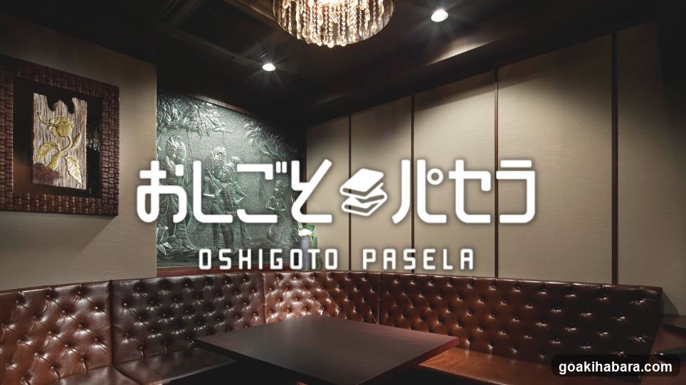 Oshigoto Pasela Akihabara Electric Town