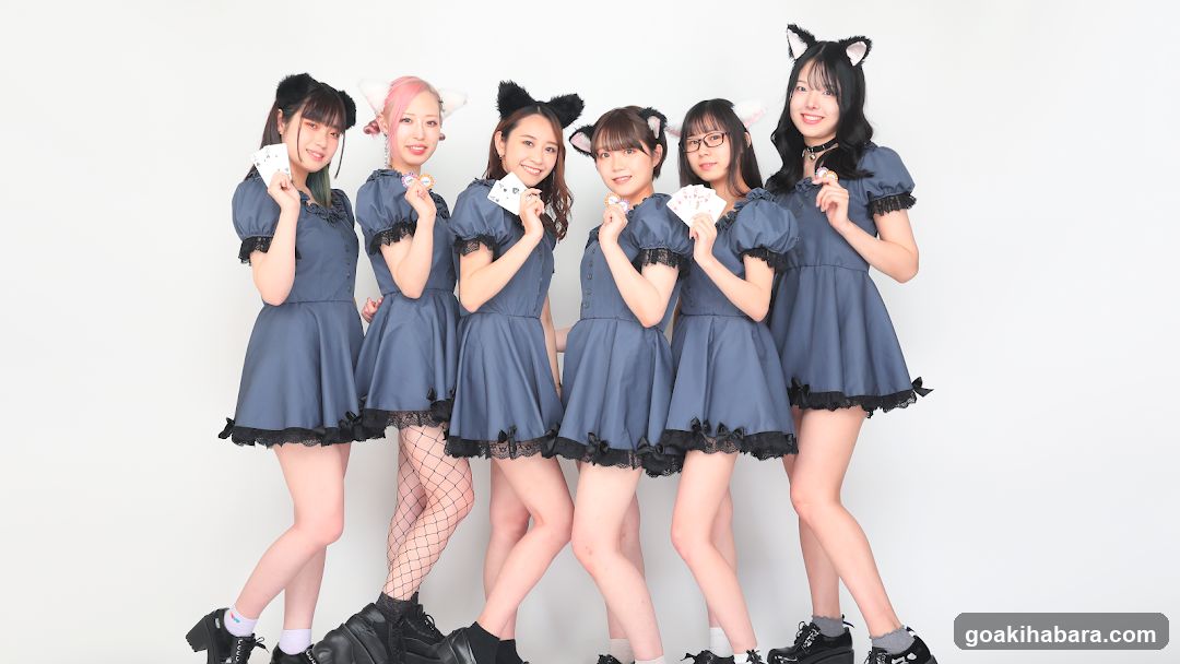 NEKOKAJI秋葉原