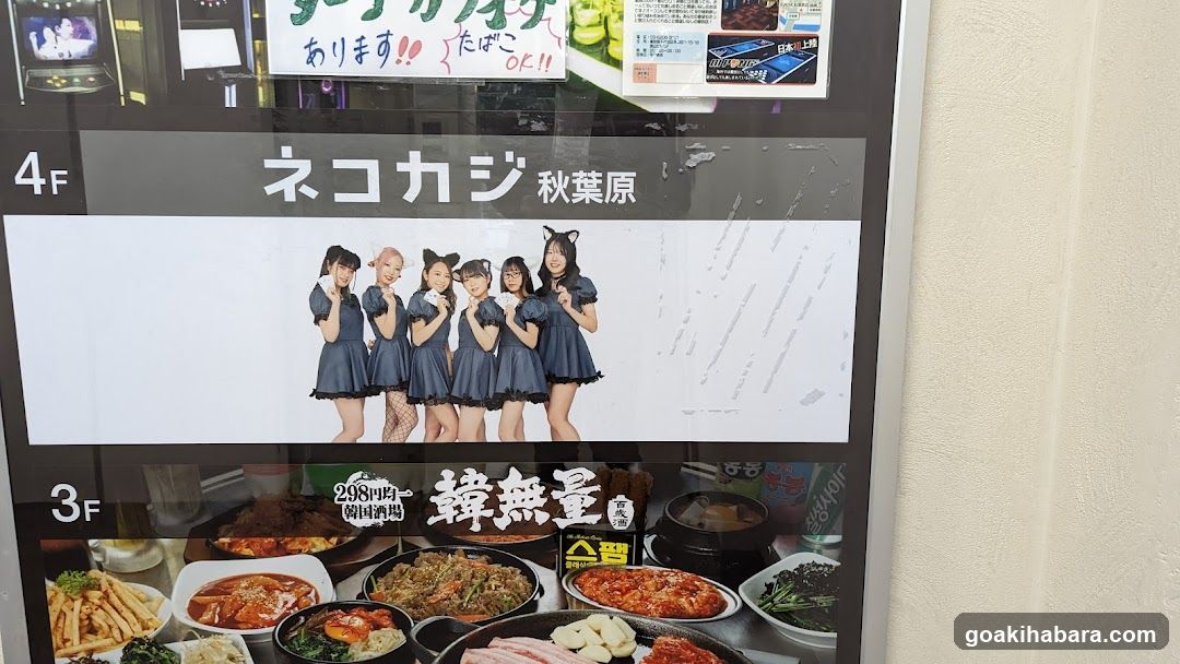 NEKOKAJI秋葉原