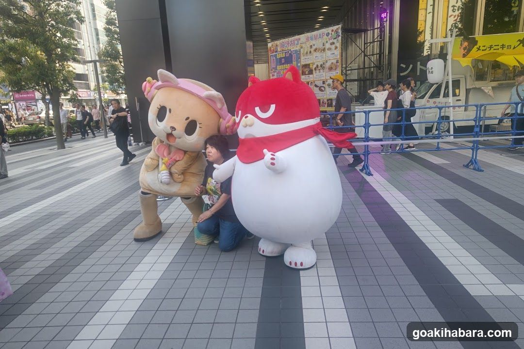 Bellesalle Akihabara