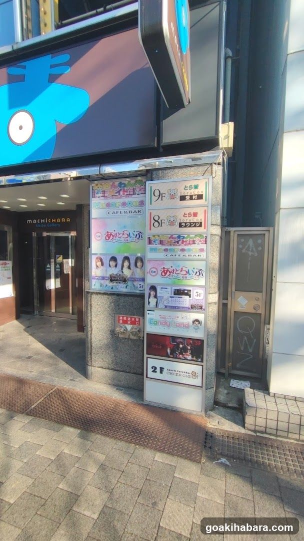 とら婚 秋葉原オフィス