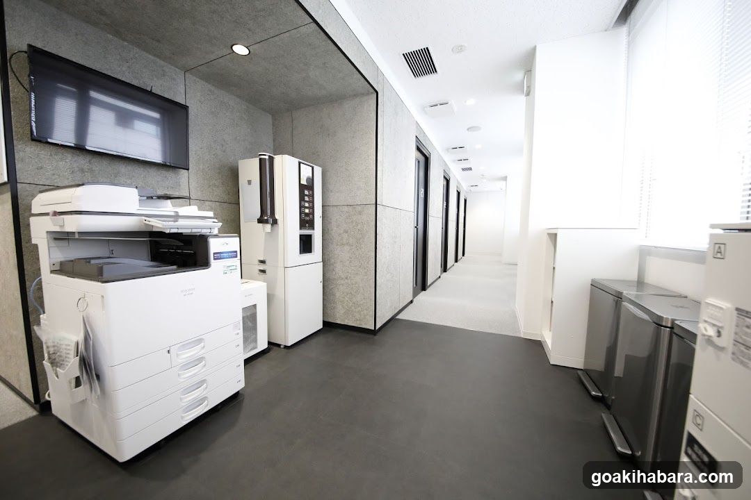 ZXY Akihabara 2