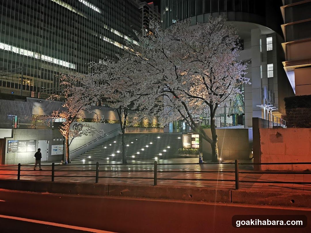 Fujisoft Akiba Plaza
