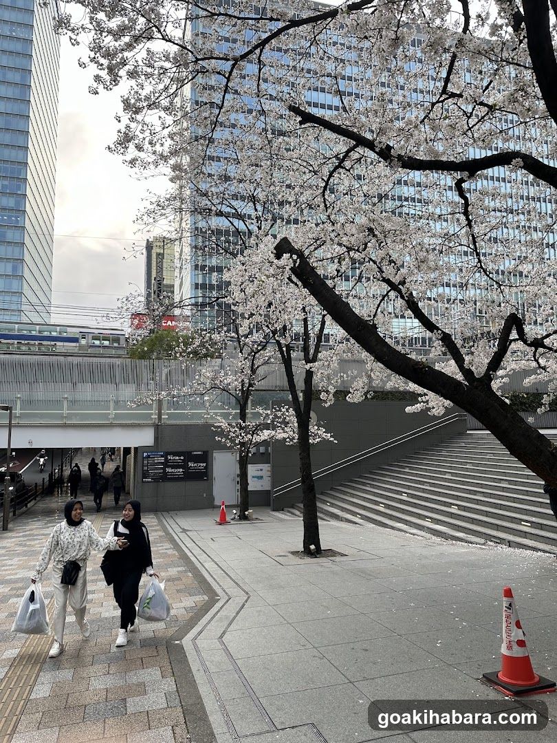 Fujisoft Akiba Plaza