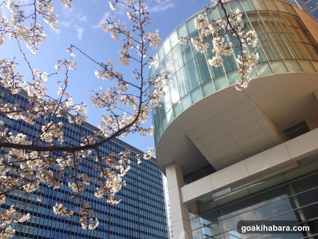 Fujisoft Akiba Plaza