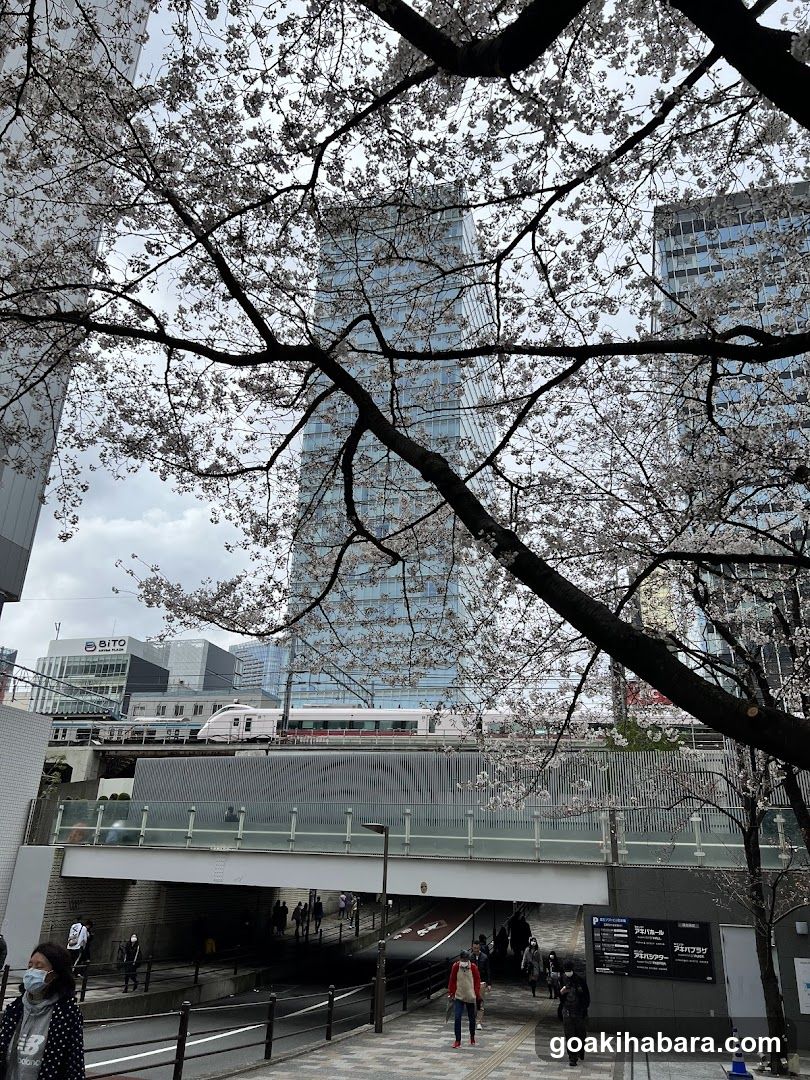 Fujisoft Akiba Plaza