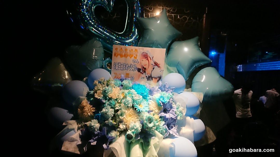 Parms Akihabara