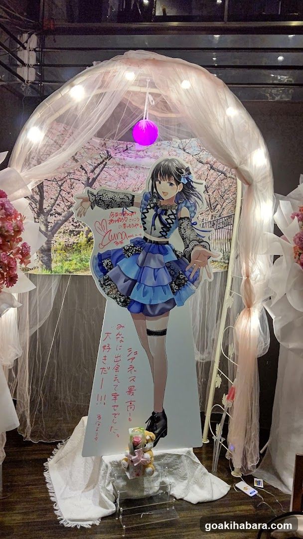 Parms Akihabara