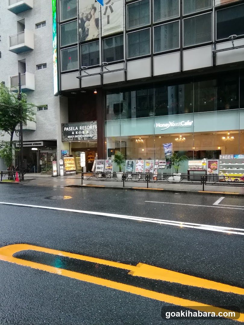 Parms Akihabara