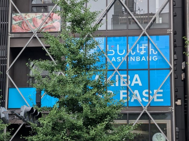 Lashinbang AKIBA DEEP BASE: Akihabara's Largest Used Doujinshi Store Opens